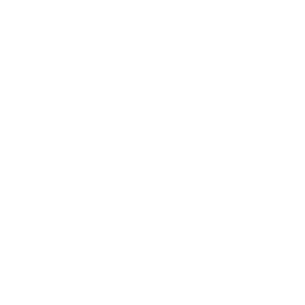 Brake-System-white - ICOOH Brake-System-white - ICOOH