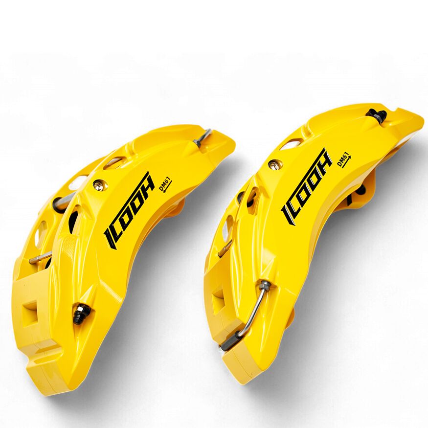 Pinze freno DM6 2 - ICOOH