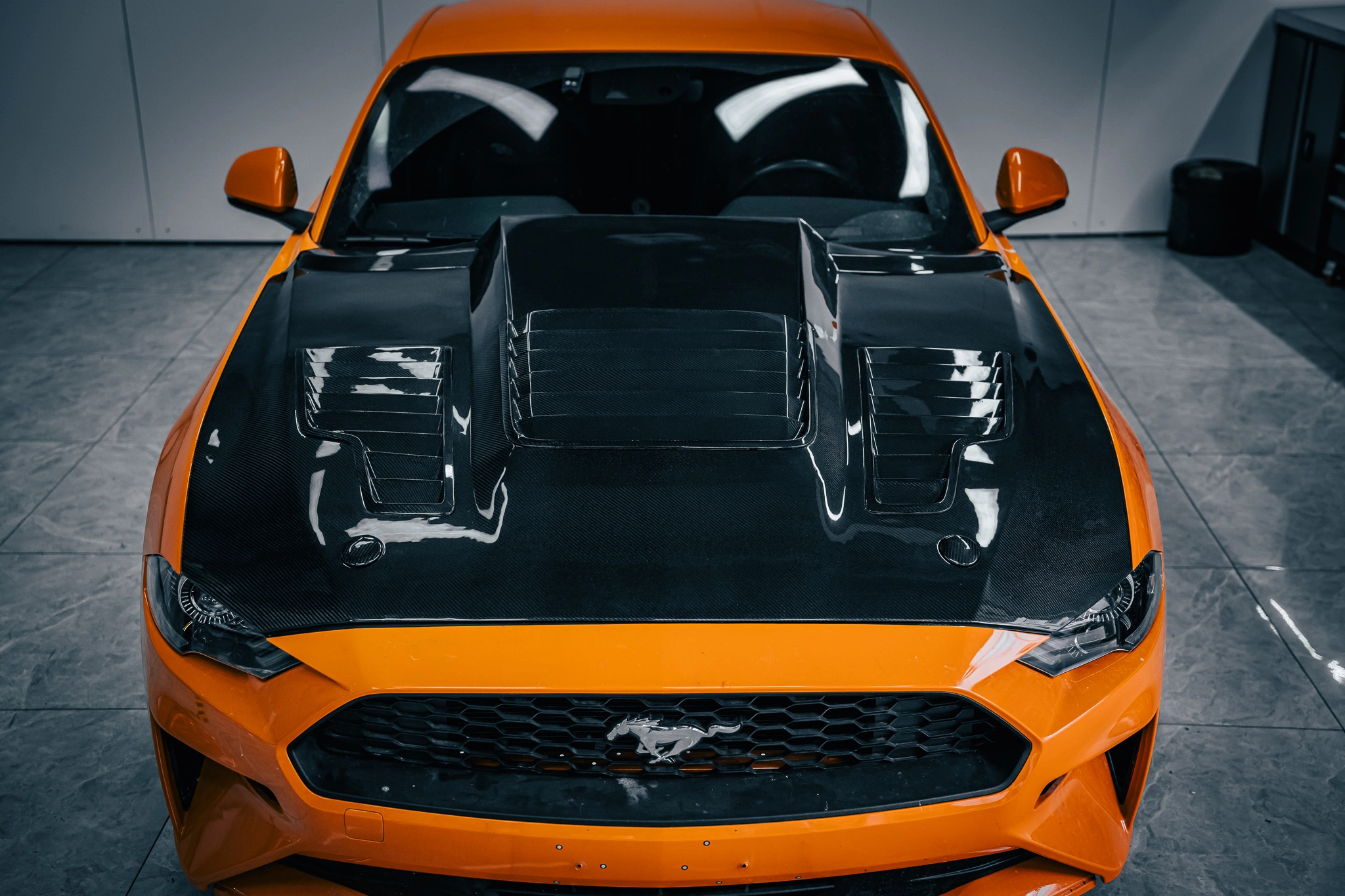 Mustang-002-hood-scene-picture - ICOOH Mustang 002 hood scene picture - ICOOH