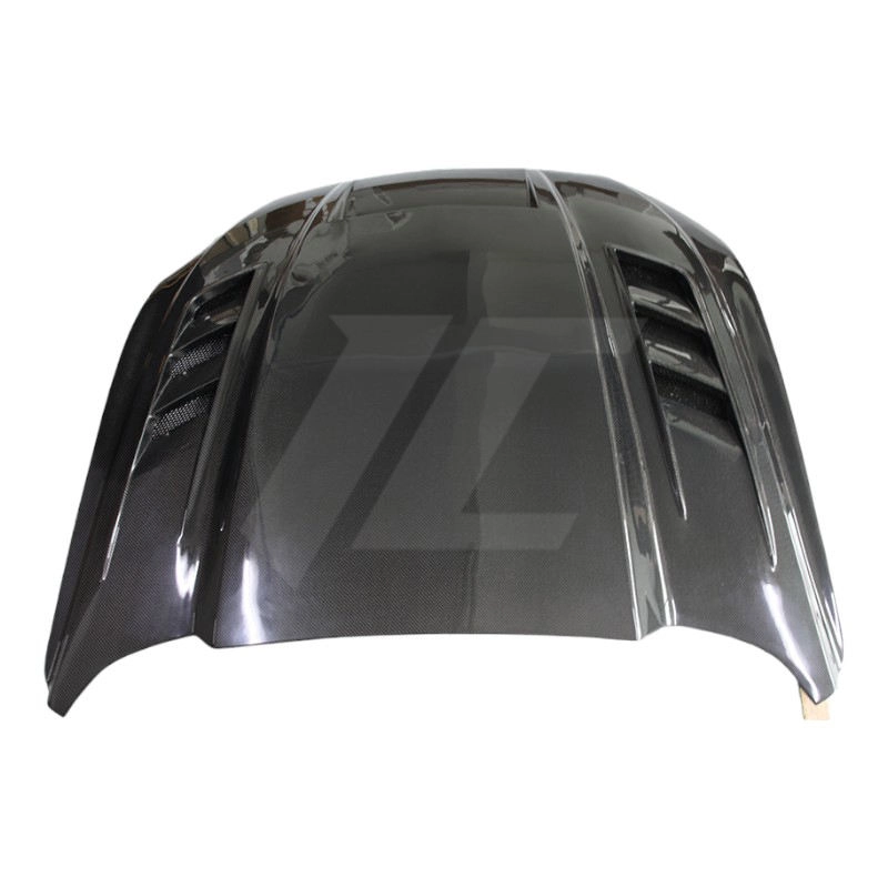 Mustang 003 carbon fiber hood display - ICOOH