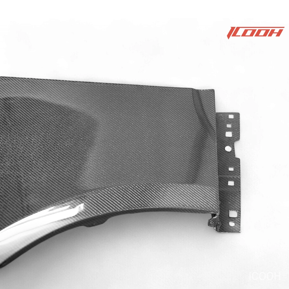 Mustang original carbon fiber fenders - ICOOH