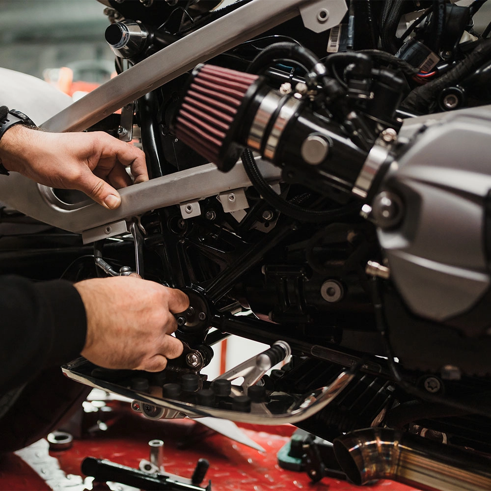 Successful-Experience-for-Wholesalers - ICOOH Successful-Experience-for-Wholesalers - ICOOH