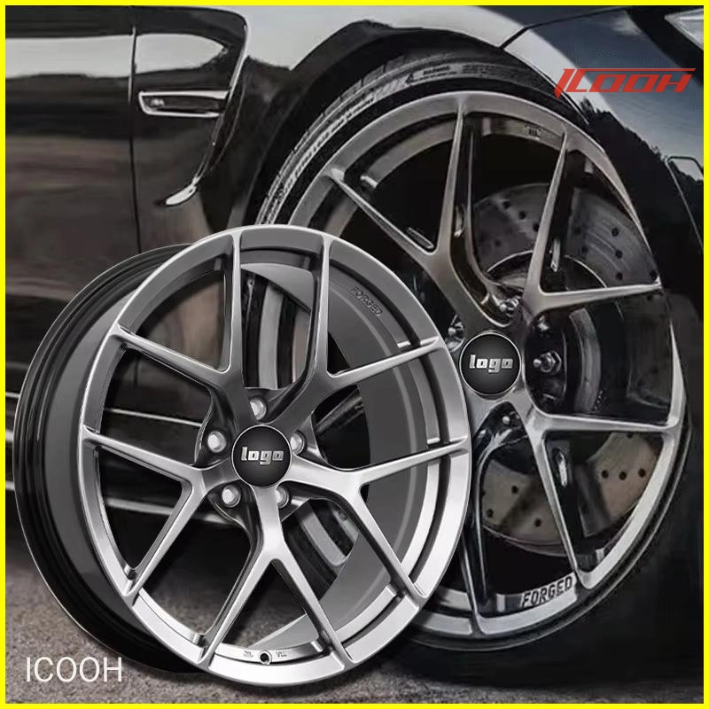 Cerchioni (1) - ICOOH